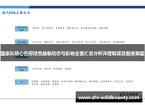 国家队核心伤停球员最新动态与影响全面汇总分析深度解读及前景展望